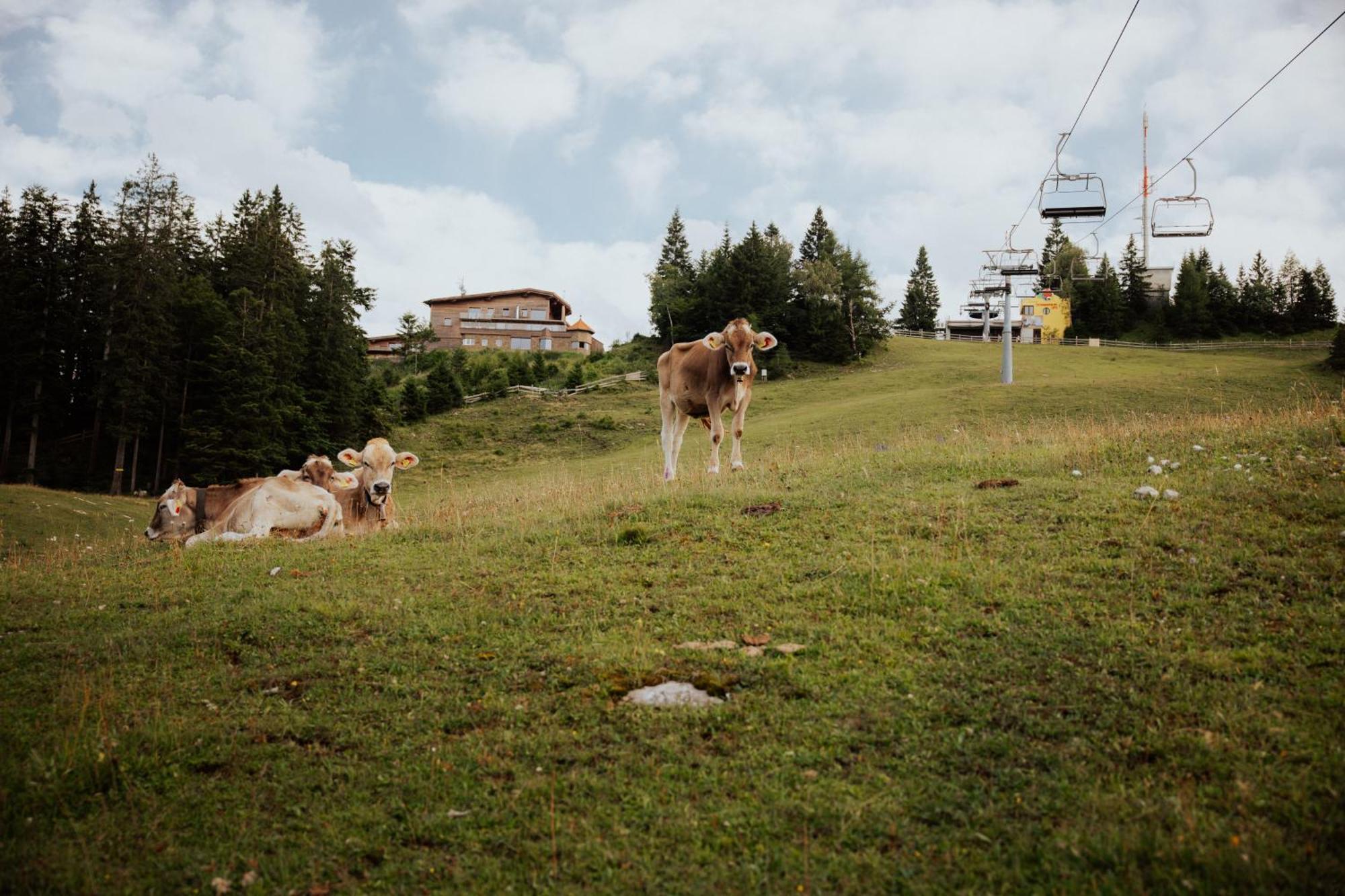 Chalet G12 - Mountain Luxury Apartments Seefeld in Tirol Buitenkant foto