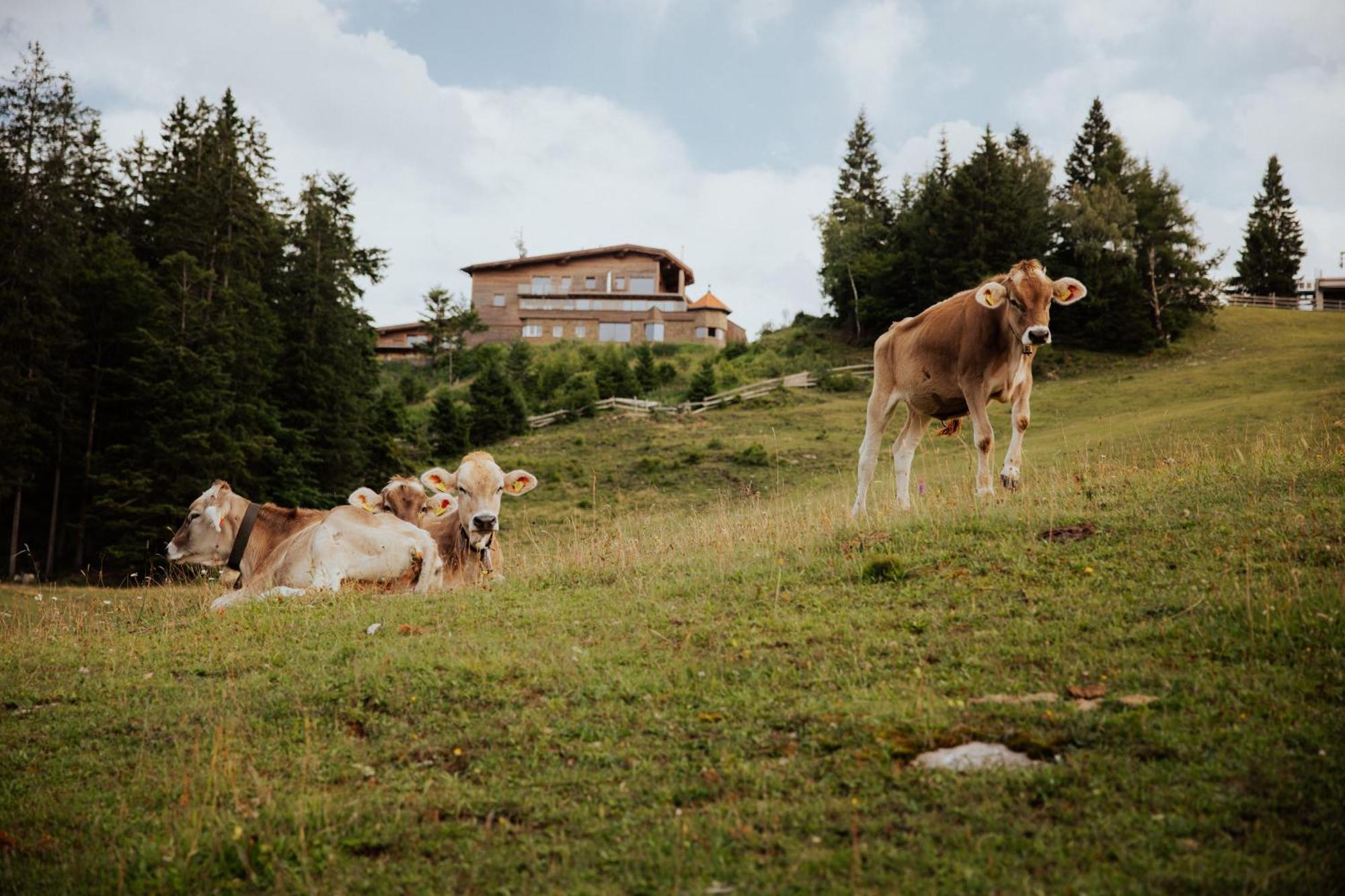 Chalet G12 - Mountain Luxury Apartments Seefeld in Tirol Buitenkant foto